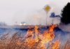 В Приамурье начали гореть леса