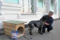 Александр Айзверт, спасавший животных во время наводнения, в знак протеста оставил собак у мэрии.