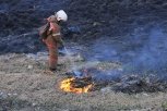 Ситуация с пожарами в Амурской области остается сложной