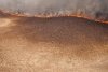В Амурской области горит заказник в Бурейском районе