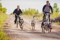 Фото: группа «Северные ездовые собаки Благовещенска» в «Одноклассниках»