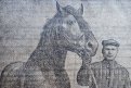 Иван Сухомлин, конюх в сельхозартели имени Чкалова, 1950 г.