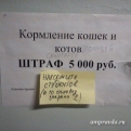 anyashatalova: Объявление в одной благовещенской больнице для персонала.
