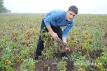 Приамурье получит 35,5 миллиона рублей на развитие фермерских хозяйств