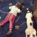 marina_budennaya: Спят усталые игрушки…