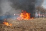 В Приамурье борются с двумя лесными пожарами