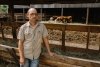 Константиновский фермер планирует построить консервный завод
