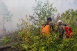 За сутки в Амурской области потушили четыре природных пожара