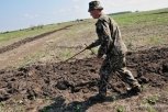 Россиянам предлагают обсудить законопроект о бесплатном гектаре