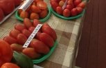На агровыставке в БГПУ представили помидор «Супербанан» и тыкву «Крошка»