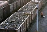 Воры похитили со станции Белогорск почти 3 тонны черного металла