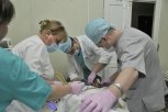 Минздрав области выявил нарушения в работе больницы в Зее