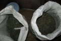 Наркополицейские изъяли у амурчан более 50 тысяч доз «дури»