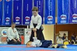 Сенсей из Японии даст благовещенцам мастер-класс по айкидо