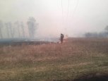 Причинами пожара в Малиновке стали сильный ветер и пал сухой травы