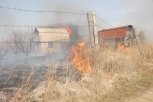 В Приамурье ужесточили меры по борьбе с лесными пожарами и палами