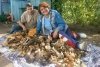 В Приамурье из-за теплой осени собирают второй урожай грибов