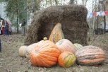 Победителем фестиваля тыквы в Сергеевке стал 70-килограммовый овощ