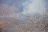 Тушить осенние пожары в лесах приготовились больше 3 тысяч амурчан