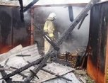 Коровы, свиньи и поросята сгорели в белогорском селе Лохвицы