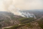 Рослесхоз плохо финансировал тушение пожаров в Амурской области