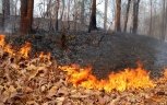 Амурской области и Якутии выделят дополнительные деньги на тушение пожаров