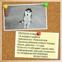ulia__nasledova: Пропала самая любимая в мире собака