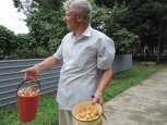 За неделю в Приамурье потерялись 11 грибников