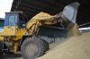 Единороссы предложили срочно поддержать аграриев в связи с падением цен на зерно