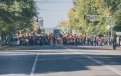 Тигриное шествие побило рекорд в Амурской области. Фоторепортаж