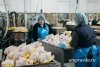 Мясо амурского бройлера впервые попало в «Золотую сотню» товаров России