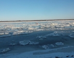 Двоих благовещенских школьников унесло на льдине по реке Зее