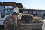 Вместо погибшей буренки многодетной белогорской семье подарили корову Ночку