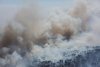 В Приамурье на 20 лесных пожарах работают 845 человек