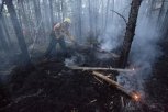 Крупный пожар в Шимановском районе за неделю уничтожил более 20 тысяч гектаров леса