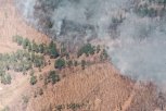 Губернатор предложил главе Зейского района уволиться после серии лесных пожаров