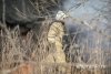 Глава Авиалесоохраны: пропавший в Приамурье пожарный умеет выживать в лесу