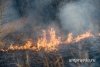 Полтысячи амурчан тушат лесные пожары в Приамурье