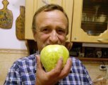 Яблоки-гиганты и круглые баклажаны: читатели «Амурской правды» устроили битву урожаев