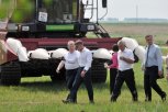 «С Кожемяко мы побили все рекорды урожайности прошлых лет»