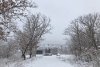 Черно-белое утро: снежный фоторепортаж из снимков амурчан