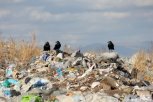 Министерство ЖКХ ответило на самые популярные вопросы амурчан по мусорной реформе