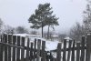 На севере Приамурья в субботу морозно и немного снежно
