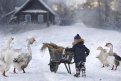 Зима в деревне. Фото: Elena Snumilova / pr0vinlife