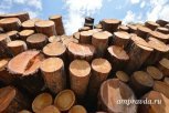 Рослесхоз внес три амурские компании в реестр недобросовестных арендаторов лесных участков