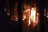 Пожарные и добровольцы отстояли турбазу «Мухинка» и санаторий «Василек» от масштабного огня