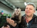 Хвостатая экзотика: в Благовещенске открылась выставка обезьян со всего мира (фото)
