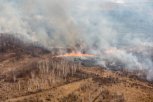 Шесть из восьми лесных пожаров потушили в Амурской области