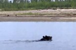 «Давай, родной!»: на Зейском водохранилище рыбаки помогли плывущему медведю (видео)