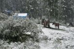 Июльский снег выпал в Магаданской области